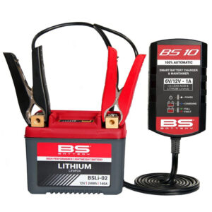 Chargeur de Batterie Intelligent BS10